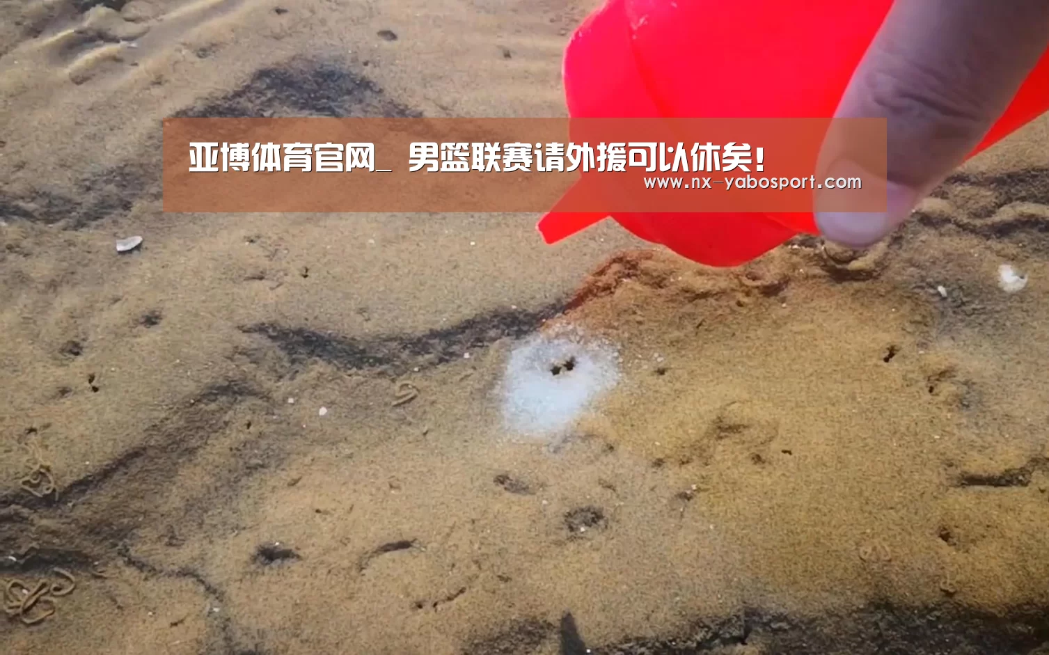 亚博体育官网_
男篮联赛请外援可以休矣!(图3) 亚博体育